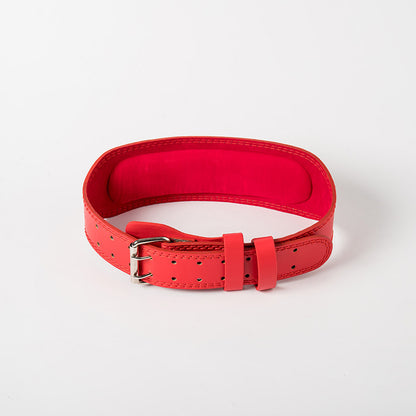 Fitness Belt (Waist Support)
